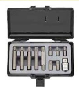 11pc 10mm Spline bit set